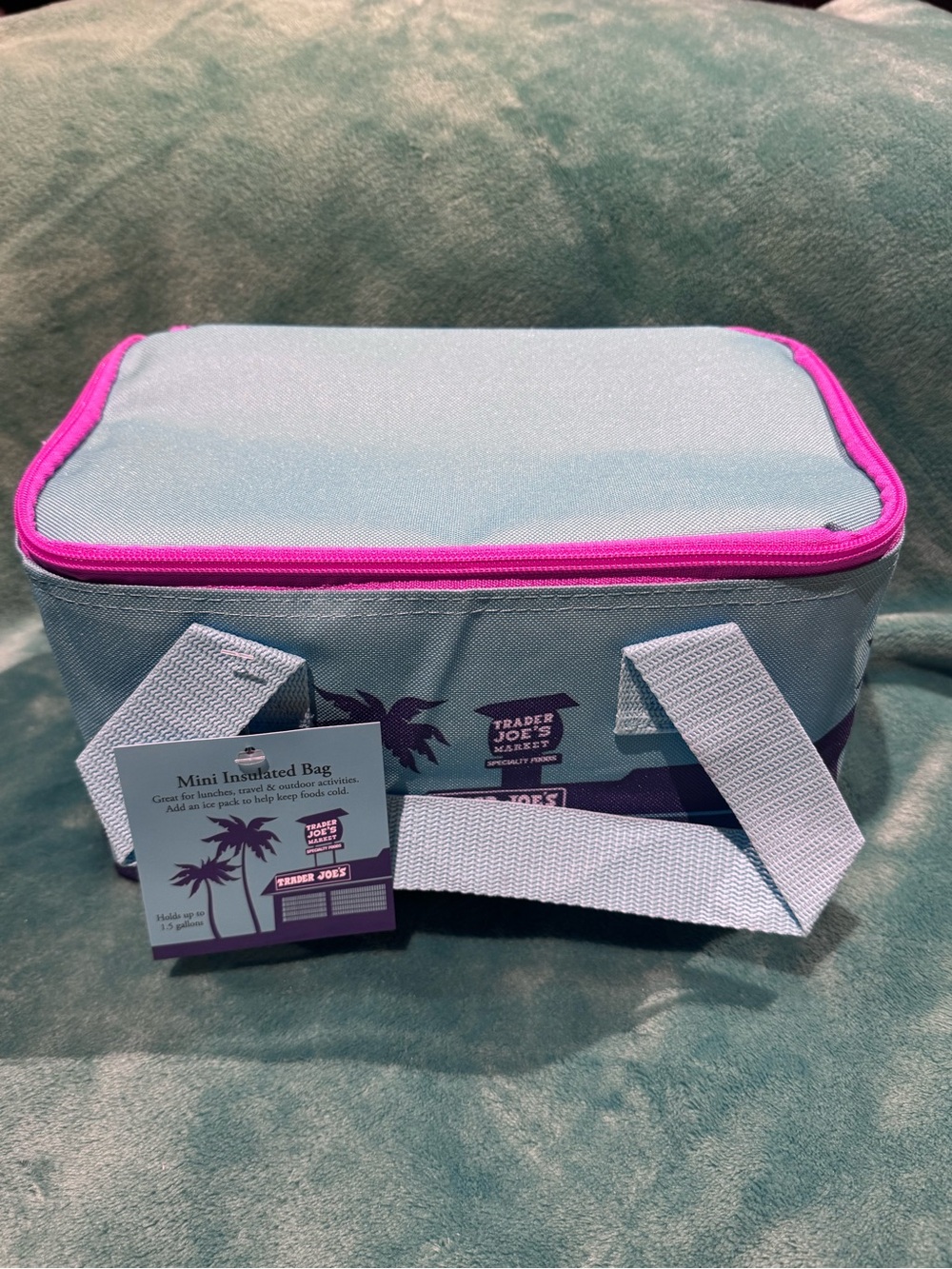 Trader Joe’s Mini Insulated Bag - Teal